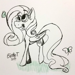 Size: 1833x1832 | Tagged: safe, artist:binkyt11, derpibooru exclusive, fluttershy, butterfly, pegasus, pony, g4, atg 2017, female, mare, newbie artist training grounds, no catchlights, partial color, solo, traditional art