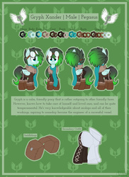 Size: 3200x4400 | Tagged: safe, artist:kellythedrawinguni, oc, oc only, oc:gryph xander, pegasus, pony, bomber jacket, boots, clothes, goggles, high res, jacket, male, pants, reference sheet, saddle bag, scarf, shoes, solo, stallion