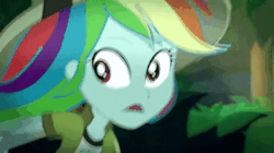 Size: 360x202 | Tagged: safe, screencap, rainbow dash, parrot, eqg summertime shorts, equestria girls, g4, leaping off the page, animated, female, gif, midriff
