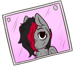 Size: 977x857 | Tagged: safe, artist:lazerblues, oc, oc only, oc:miss eri, pony, black and red mane, bust, chest fluff, photo, photography, portrait, red and black oc, selfie, solo, two toned mane