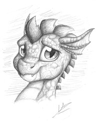 Size: 1024x1313 | Tagged: safe, artist:lupiarts, spike, dragon, g4, fangs, looking at you, male, monochrome, sketch, smiling, solo, traditional art