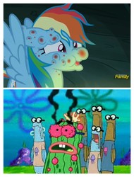 Size: 3106x4096 | Tagged: safe, screencap, rainbow dash, pony, campfire tales, g4, comparison, discovery family logo, fly-der bite, i'm your biggest fanatic, image macro, kevin the sea cucumber, meme, red nosed, spongebob squarepants