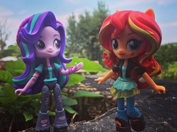 Size: 3697x2772 | Tagged: safe, artist:lucaspratt, starlight glimmer, sunset shimmer, equestria girls, equestria girls specials, g4, my little pony equestria girls: mirror magic, beanie, doll, equestria girls minis, eqventures of the minis, garden, hat, high res, irl, leaf, photo, toy, tree