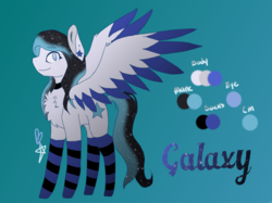 Size: 1024x765 | Tagged: safe, artist:blaziingstar, oc, oc only, oc:galaxy star, pony, chest fluff, clothes, reference sheet, socks, solo, striped socks