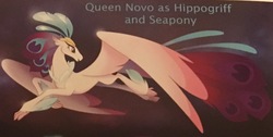 Size: 1135x574 | Tagged: safe, artist:rebecca dart, queen novo, hippogriff, g4, my little pony: the movie, the art of my little pony: the movie, concept art, female, gray background, simple background, solo, spoiler, text