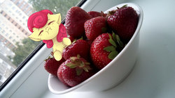 Size: 1280x720 | Tagged: safe, artist:tavifly, strawberry sunrise, pony, g4, honest apple, bowl, eyes closed, food, irl, photo, ponies in real life, solo, strawberry, tiny ponies