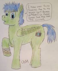 Size: 1139x1403 | Tagged: safe, artist:rapidsnap, oc, oc only, oc:rapidsnap, pony, bandage, injured, solo, traditional art
