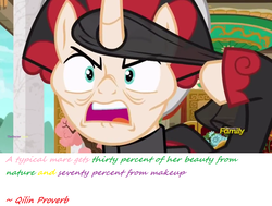 Size: 1600x1212 | Tagged: safe, artist:meiyeezhu, screencap, sable spirit, pony, campfire tales, g4, discovery family logo, image macro, meme, proverb, wisdom