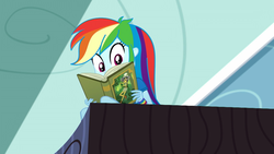 Size: 1920x1080 | Tagged: safe, screencap, daring do, rainbow dash, equestria girls, g4, leaping off the page, my little pony equestria girls: summertime shorts, book, female, reading rainboom, solo