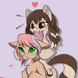 Size: 2000x2000 | Tagged: safe, artist:orang111, oc, oc only, oc:coconut milk, oc:sweet skies, pegasus, pony, biting, hair bite, high res, shipping, wavy mouth