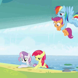 Size: 540x540 | Tagged: safe, screencap, apple bloom, applejack, rainbow dash, scootaloo, sweetie belle, earth pony, pegasus, pony, unicorn, campfire tales, g4, animated, apple bloom's bow, applejack's hat, behaving like a cat, behaving like a dog, bipedal, bow, cowboy hat, cutie mark crusaders, discovery family logo, eyes closed, female, filly, foal, gif, hair bow, hat, mare, one eye closed, open mouth, raised hoof, scootalove, stabilized, sweetie belle is not amused, unamused, wet, wet mane, wet mane apple bloom, wet mane applejack, wet mane sweetie belle, wet-dog shake