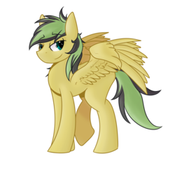 Size: 960x960 | Tagged: safe, artist:wulfanite, oc, oc only, oc:ailan, pegasus, pony, 2019 community collab, derpibooru community collaboration, male, simple background, solo, transparent background, wings