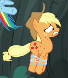 Size: 275x319 | Tagged: safe, screencap, applejack, earth pony, pony, campfire tales, g4, cropped, fly-der bite, tied up