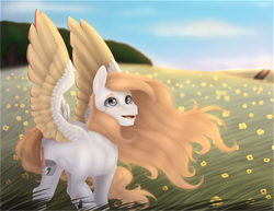 Size: 4000x3095 | Tagged: safe, artist:rubyflank, oc, oc only, oc:arvensis, bird pone, pegasus, pony, bracelet, colored wings, colored wingtips, female, jewelry, mare, meadow, solo, yin-yang
