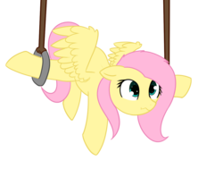 Size: 1167x882 | Tagged: safe, artist:neuro, fluttershy, pegasus, pony, g4, acrobatics, fail, female, floppy ears, gymnastic rings, gymnastics, mare, silly, silly pony, simple background, solo, stuck, transparent background, wavy mouth