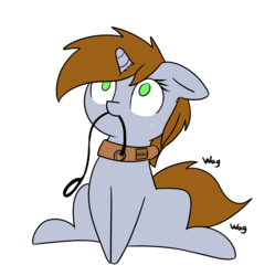 Size: 1078x1084 | Tagged: safe, artist:neuro, oc, oc only, oc:littlepip, pony, unicorn, fallout equestria, behaving like a dog, collar, female, floppy ears, freckles, leash, mare, mouth hold, no pupils, pony pet, simple background, sitting, solo, tail wag, transparent background
