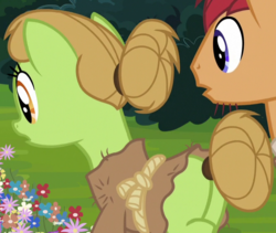 Size: 667x563 | Tagged: safe, screencap, burr laplander, hafgrimr varganing, earth pony, pony, campfire tales, g4, butt, clothes, cropped, duo, female, flower, hair bun, male, mare, plot, solo focus, stallion, tail bun
