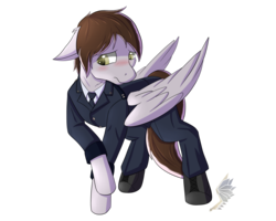 Size: 1600x1280 | Tagged: safe, artist:steelwing-studio, oc, oc only, oc:cecil, pegasus, pony, blushing, clothes, male, simple background, solo, stallion, suit, transparent background