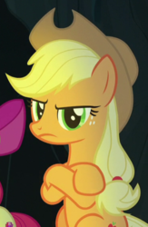 Size: 370x567 | Tagged: safe, screencap, apple bloom, applejack, earth pony, pony, campfire tales, g4, angry, applejack is not amused, bow, cowboy hat, cropped, crossed arms, female, filly, hair bow, hat, mare, solo focus, unamused