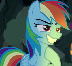 Size: 787x718 | Tagged: safe, screencap, rainbow dash, pegasus, pony, campfire tales, g4, cropped, female, grin, mare, rainbow dash is best facemaker, smiling, solo