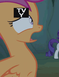 Size: 462x600 | Tagged: safe, screencap, rarity, scootaloo, pegasus, pony, unicorn, campfire tales, g4, animated, female, filly, floppy ears, gif, hyperventilating, invisible stallion, mare, open mouth, out of context, puffy cheeks, solo focus, the implications are horrible, tv rating, tv-y, wide eyes