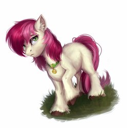 Size: 1980x2000 | Tagged: safe, artist:foaren, roseluck, earth pony, pony, g4, chest fluff, collar, commissioner:doom9454, crying, digital art, ear fluff, female, fluffy, grass, hoof fluff, leg fluff, looking at you, mare, missing cutie mark, pet tag, pony pet, raised hoof, rosepet, sad, simple background, solo, standing, unshorn fetlocks, white background