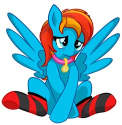 Size: 1827x1877 | Tagged: safe, artist:x-blackpearl-x, oc, oc only, oc:sea feather, pegasus, pony, clothes, collar, female, shy, simple background, socks, solo, spread wings, striped socks, transparent background, wingboner, wings