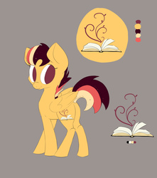 Size: 1131x1277 | Tagged: safe, artist:friendlyraccoon, oc, oc only, pegasus, pony, female, mare, reference sheet, solo