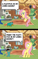 Size: 720x1103 | Tagged: safe, fluttershy, g4, crossover, perry the platypus, phineas and ferb