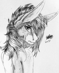Size: 2253x2747 | Tagged: safe, artist:brainiac, derpibooru exclusive, oc, oc only, pony, art trade, black and white, female, freckles, grayscale, high res, mare, monochrome, solo, traditional art