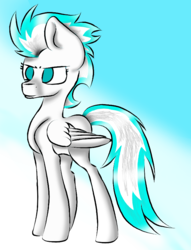 Size: 652x852 | Tagged: safe, oc, oc only, oc:sky paw, pegasus, pony, gradient background, no pupils, solo