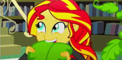 Size: 666x330 | Tagged: safe, screencap, sunset shimmer, epic fails, equestria girls, g4, my little pony equestria girls: summertime shorts, clothes, cute, female, jacket, plant, shimmerbetes, solo, teeth