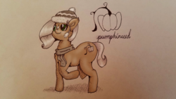 Size: 4032x2268 | Tagged: safe, artist:dankpone, oc, oc only, oc:pumpkinseed, pony, clothes, hat, scarf, solo