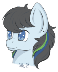 Size: 533x657 | Tagged: safe, artist:xaik0x, oc, oc only, oc:v2, pegasus, pony, simple background, solo, transparent background