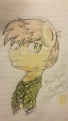 Size: 2048x1152 | Tagged: safe, artist:chikiz65, feather bangs, pony, g4, hard to say anything, colored, lined paper, male, name, shading, solo, traditional art