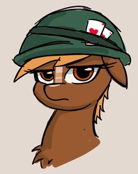 Size: 604x761 | Tagged: safe, artist:plunger, pony, helmet, playing card, sergeant reckless, simple background, warpone