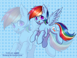 Size: 4000x3000 | Tagged: safe, artist:foxcarp, rainbow dash, pegasus, pony, g4, abstract background, chest fluff, female, flying, looking at you, mare, smiling, solo, zoom layer
