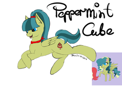 Size: 3507x2480 | Tagged: safe, artist:xaik0x, oc, oc only, oc:peppermint cube, pegasus, pony, high res, solo