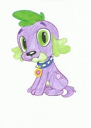 Size: 1660x2337 | Tagged: safe, artist:cybertronianbrony, spike, dog, equestria girls, g4, male, solo, spike the dog