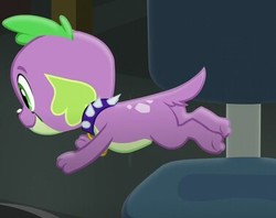 Size: 377x299 | Tagged: safe, screencap, spike, spike the regular dog, dog, equestria girls, g4, my little pony equestria girls: friendship games, cropped, male, puppy, solo