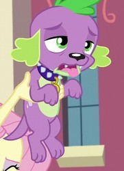 Size: 261x360 | Tagged: safe, screencap, fluttershy, spike, spike the regular dog, dog, equestria girls, g4, my little pony equestria girls: friendship games, offscreen character, paws, puppy, tongue out