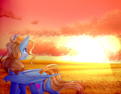 Size: 1700x1323 | Tagged: safe, artist:clefficia, oc, oc only, unnamed oc, pegasus, pony, cloud, female, field, grass field, mare, scenery, solo, sunrise