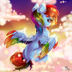 Size: 1024x1024 | Tagged: safe, artist:colorbrush, rainbow dash, pegasus, pony, g4, backwards cutie mark, chest fluff, cloud, colored wings, female, fluffy, looking back, mare, multicolored wings, on a cloud, rainbow wings, sitting, solo, wings