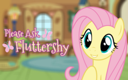 Size: 900x563 | Tagged: safe, fluttershy, pony, ask fluttershy, g4, blurry background, female, solo, title