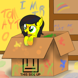 Size: 1000x1000 | Tagged: safe, artist:toyminator900, oc, oc only, oc:uppercute, pony, box, female, filly, paint, rainbow, room, shelf, solo, younger