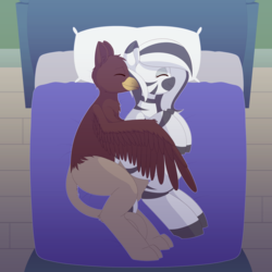 Size: 5000x5000 | Tagged: safe, artist:quarantinedchaoz, oc, oc only, griffon, zebra, absurd resolution, bed, eyes closed, female, lying down, male, mare, on side, pillow, sleeping, smiling, wing blanket