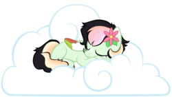 Size: 1024x577 | Tagged: safe, artist:petraea, oc, oc only, oc:mayflower, pegasus, pony, cloud, colored wings, curled up, eyes closed, female, flower, flower in hair, lying down, lying on a cloud, mare, multicolored wings, on a cloud, prone, simple background, sleeping, solo, transparent background, vector