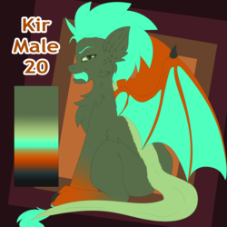 Size: 2000x2000 | Tagged: safe, artist:fkk, oc, oc only, oc:kir, dracony, hybrid, high res, male, reference sheet, solo, stallion