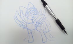 Size: 2880x1728 | Tagged: safe, artist:shelltoon, songbird serenade, pegasus, pony, g4, my little pony: the movie, blue lead, clothes, female, mechanical pencil, shirt, sketch, solo, traditional art