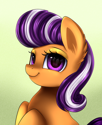 Size: 1446x1764 | Tagged: safe, artist:pridark, oc, oc only, oc:coin chaser, pony, solo